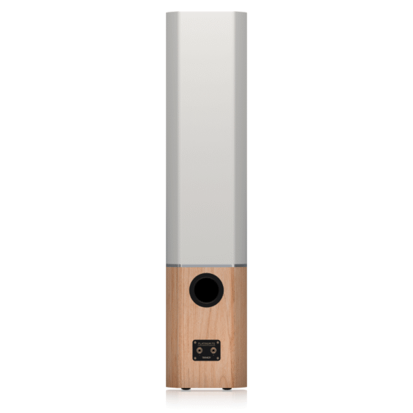 ⁦רמקול ריצפתי TANNOY Platinum F6 שחור/ חום⁩ – תמונה ⁦4⁩